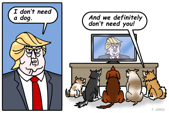 jwfeb17dogstrump_19